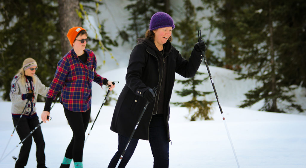 3 people cross country ski in the forest